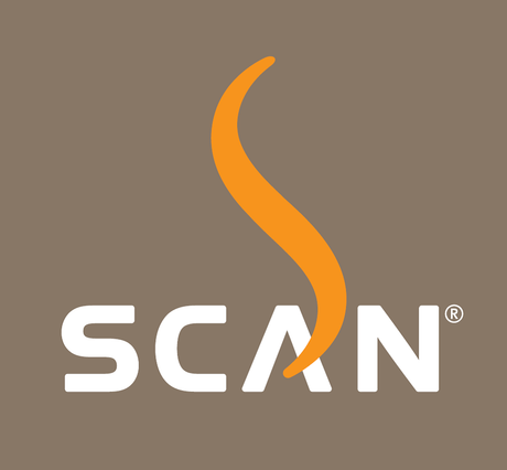 Wood Burning Stoves / Scan