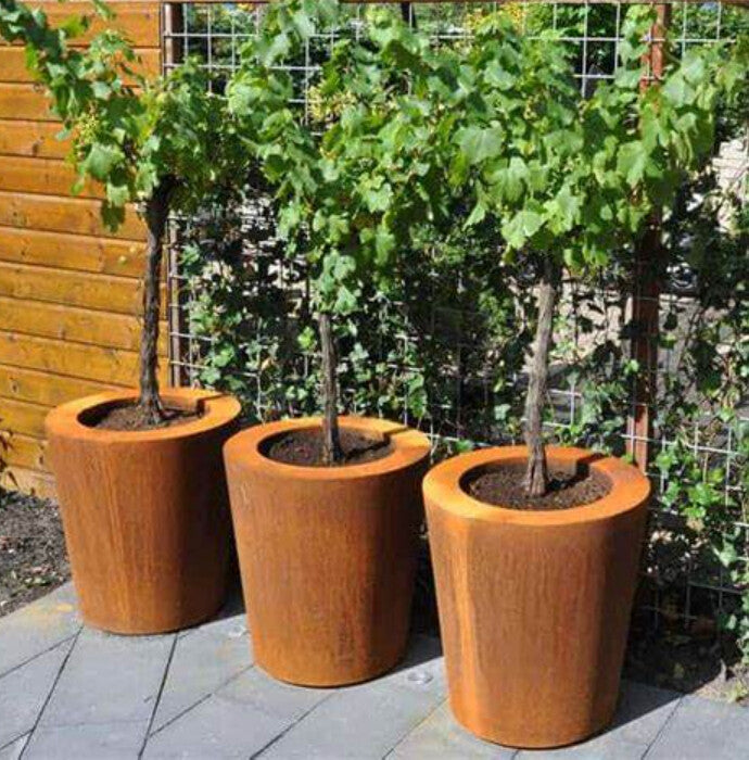 Cado Corten Steel Planter